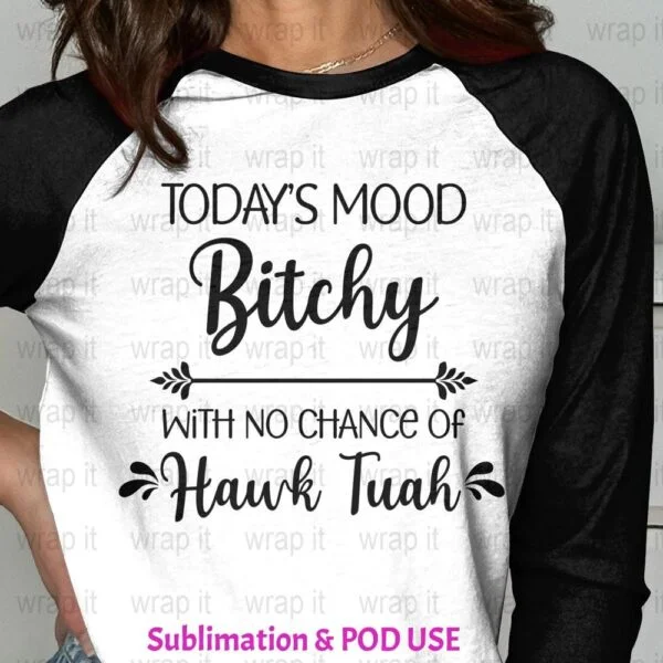 Funny Bitch Hawk Tuah Today's Mood t shirt sublimation POD Design, Instant Download, Sublimation PNG, Bitchy Mood shirt png, Funny Wife tee